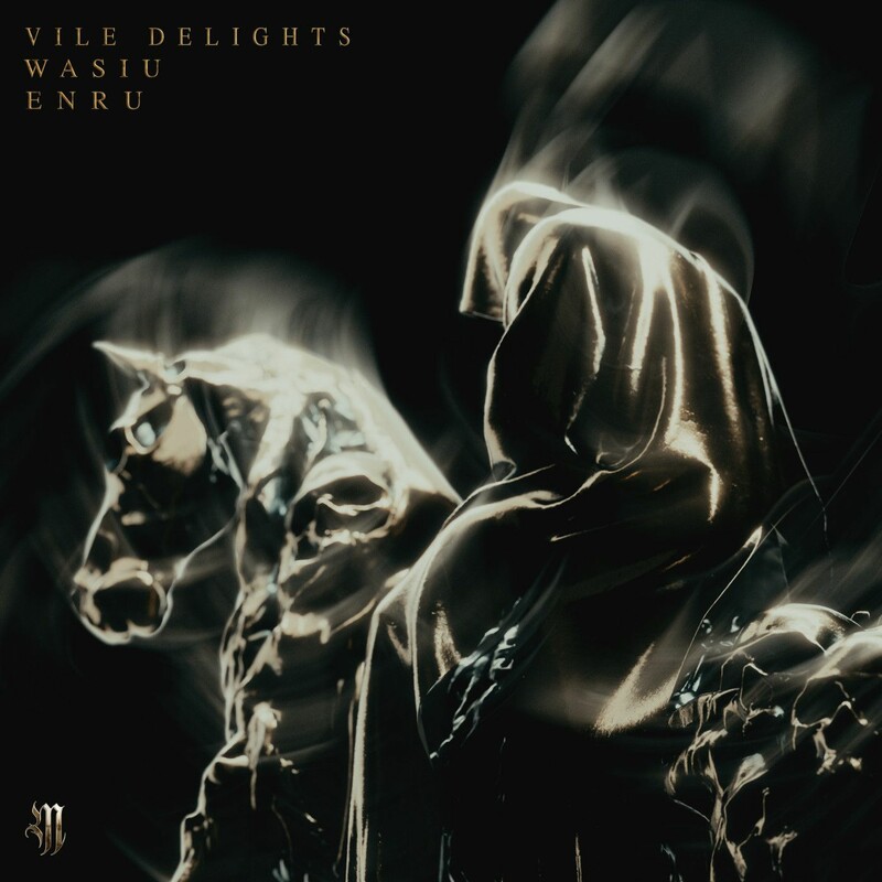 Wasiu & Enru - Vile Delights (Original Mix)