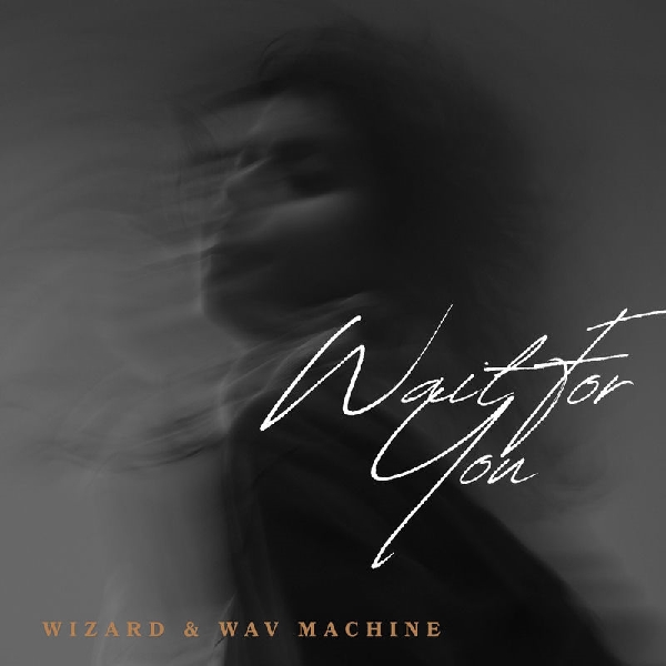 Wizard & WAV Machine - Wait For You (Original Mix)
