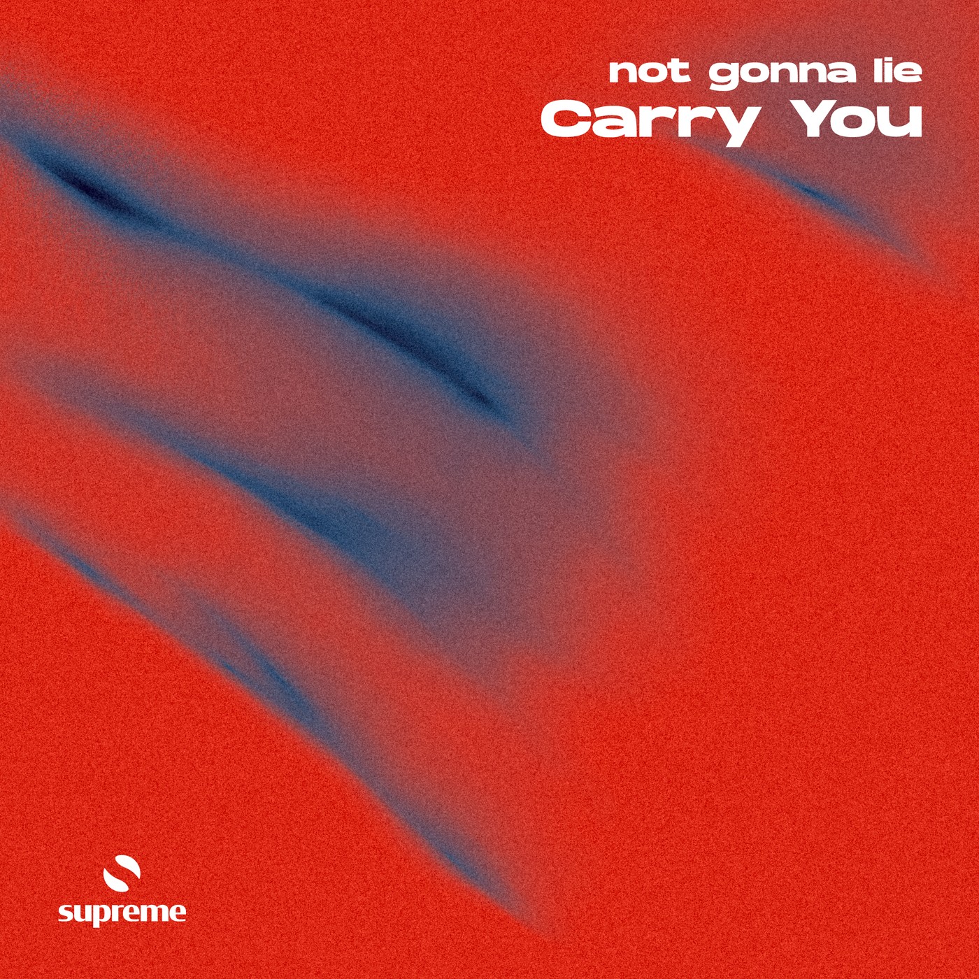 not gonna lie - Carry You (Extended Mix)