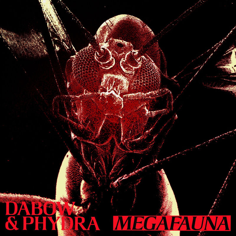 Dabow & Phydra - Megafauna (Original Mix)