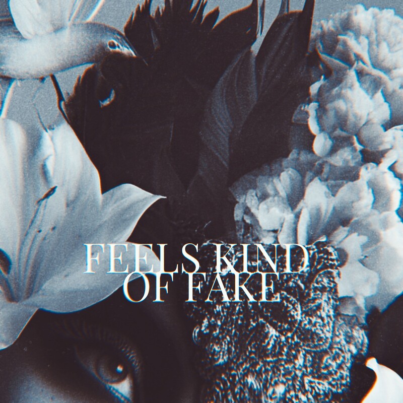 heartaake & John Dahlbäck - FEELS KIND OF FAKE (Original Mix)