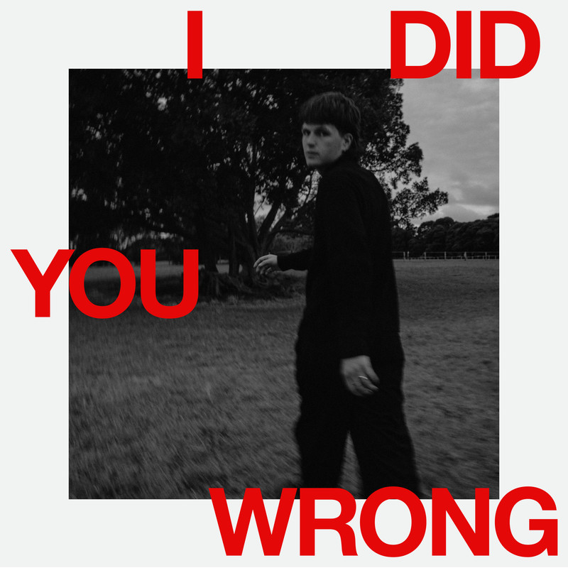 Harry Hayes - I Did You Wrong (Extended Mix)