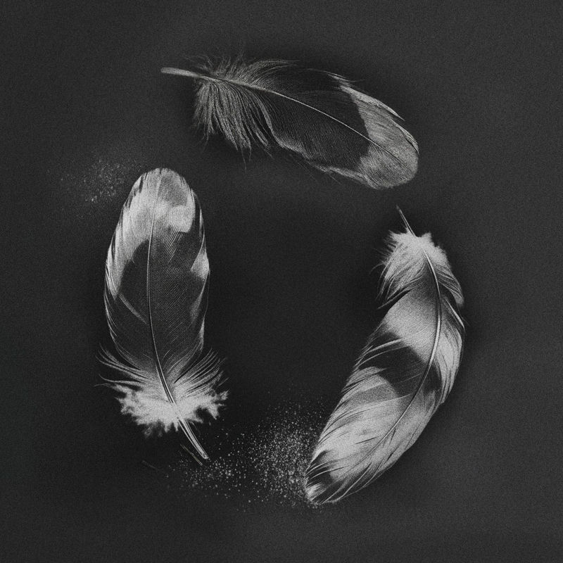 SLANDER, NGHTMRE & ZOHARA - Free (Original Mix)