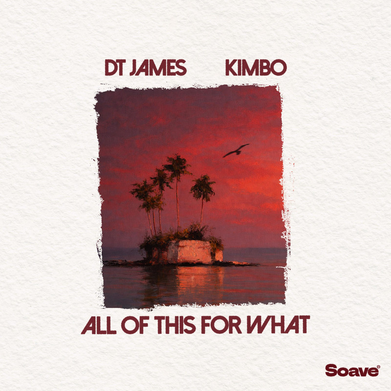 DT James & Kimbo - All Of This For What (Original Mix)