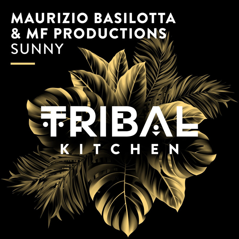 Maurizio Basilotta - Sunny (Extended Mix)