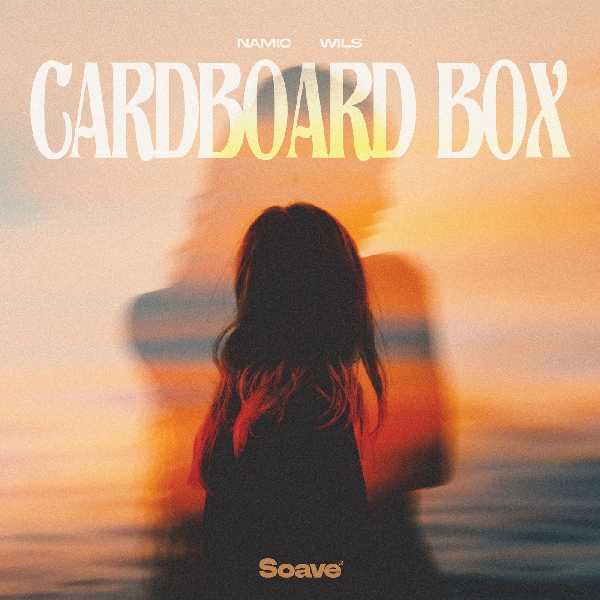 Namic & WILS - Cardboard Box (Original Mix)