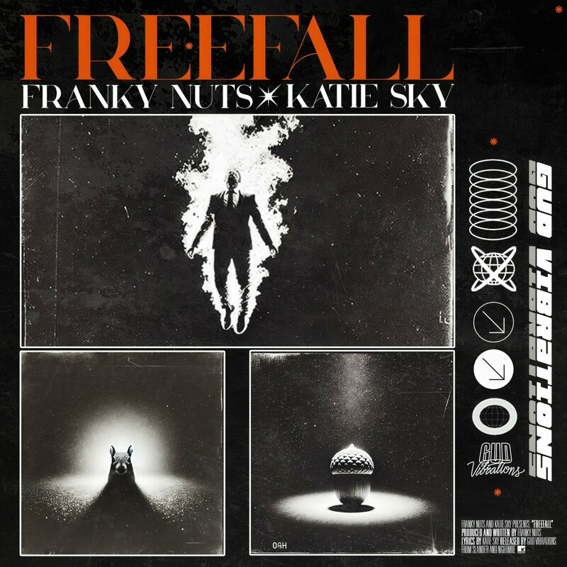 Franky Nuts - Free Fall (feat. Katie Sky) (Original Mix)