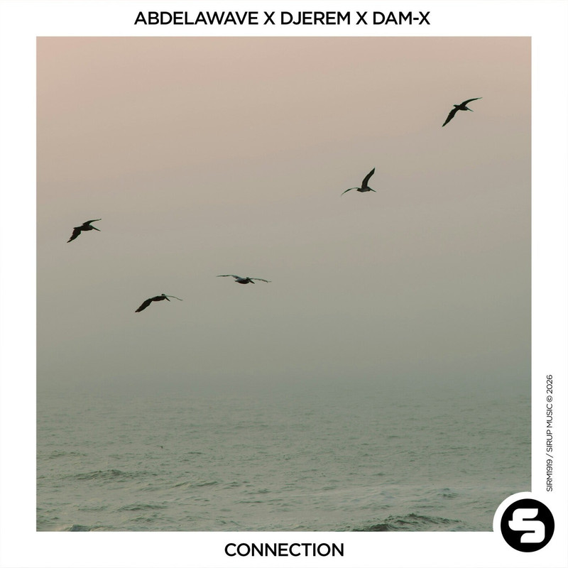 abdelawave x Djerem x Dam-X - Connection (Extended Mix)