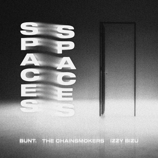 BUNT., Izzy Bizu & The Chainsmokers - Spaces (Original Mix)