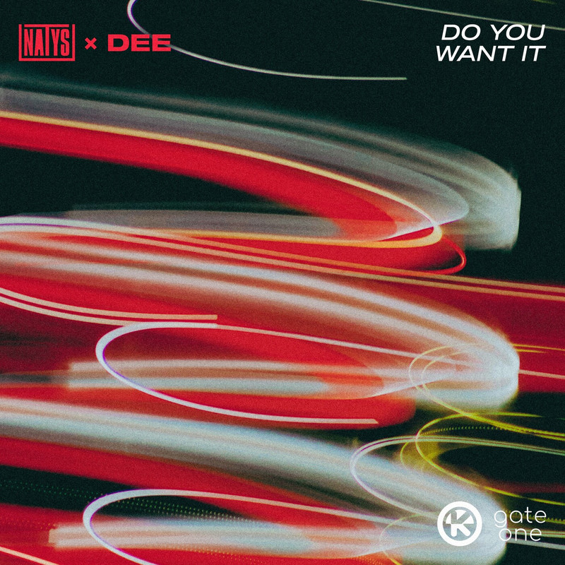 Dee & NATYS - Do You Want It (Extended Mix)