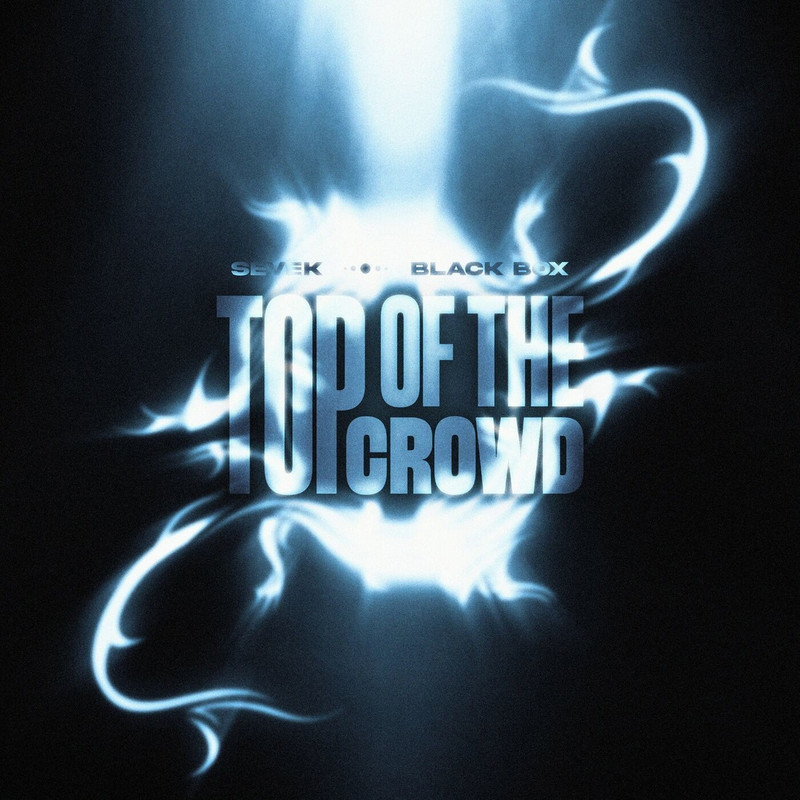 Sevek & Black Box - Top Of The Crowd (Original Mix)