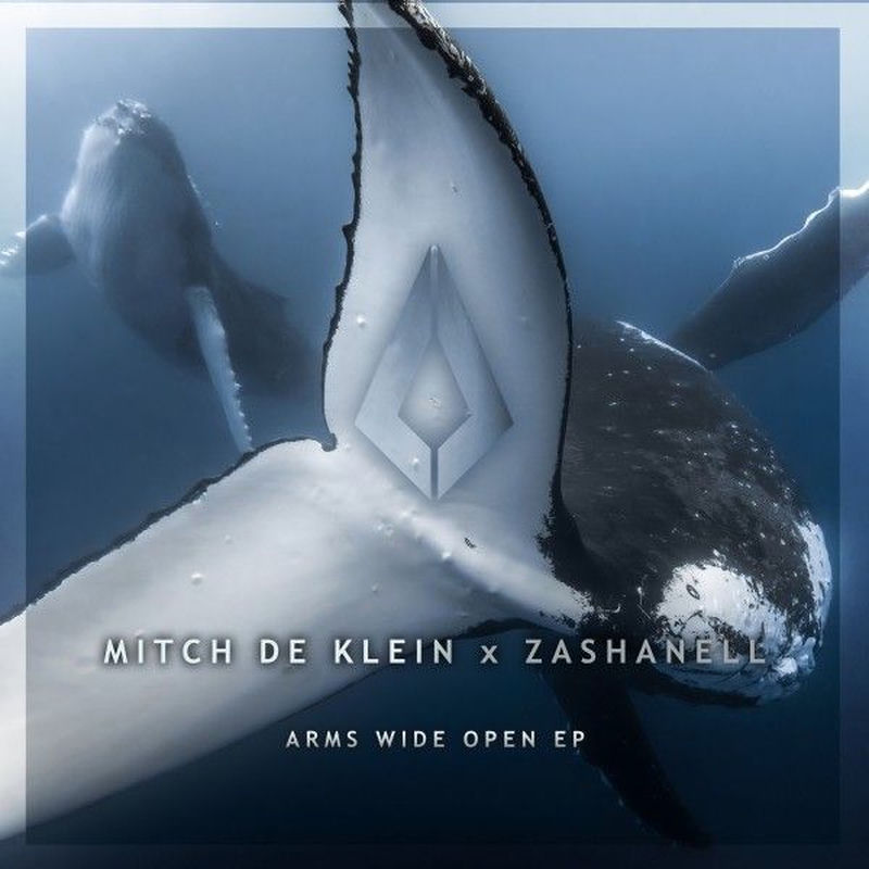 Mitch de Klein & Zashanell - Arms Wide Open (Original Mix)