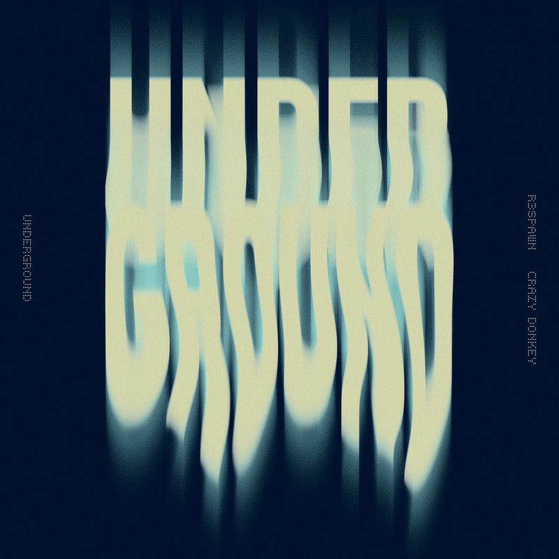 R3SPAWN & Crazy Donkey - Underground (Original Mix)