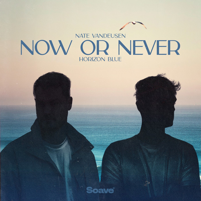 Nate VanDeusen & Horizon Blue - Now Or Never (Original Mix)