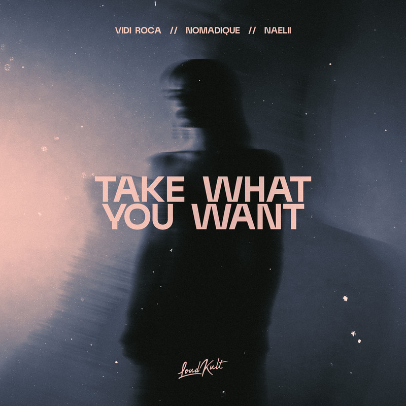 vidi roca, Naelii, Nomadique - Take What You Want (Extended Mix)