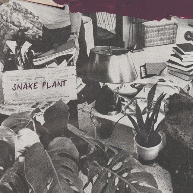 EAZYBAKED & Ranz - Snake Plant (Original Mix)