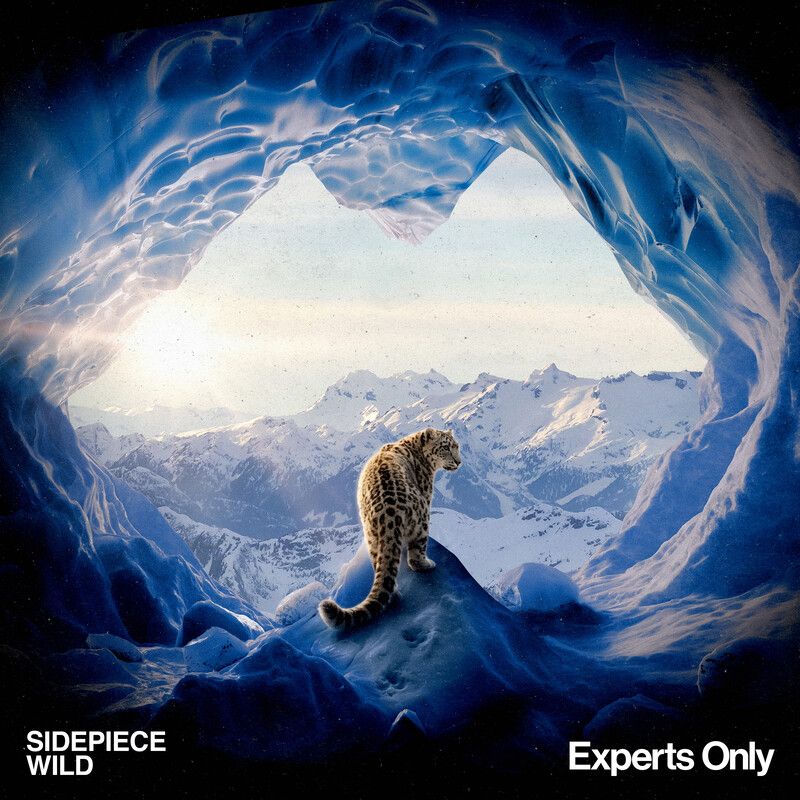 SIDEPIECE - Wild (Original Mix)