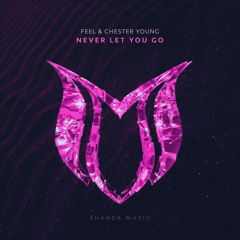 Feel & Chester Young - Never Let You Go (Extended Mix)