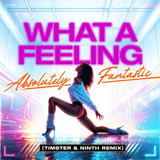 Absolutely Fantastic - Flashdance (What A Feeling) (Timster & Ninth Remix Edit)
