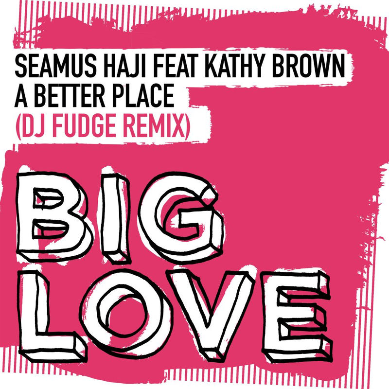 Seamus Haji - A Better Place (DJ Fudge Extended Remix)