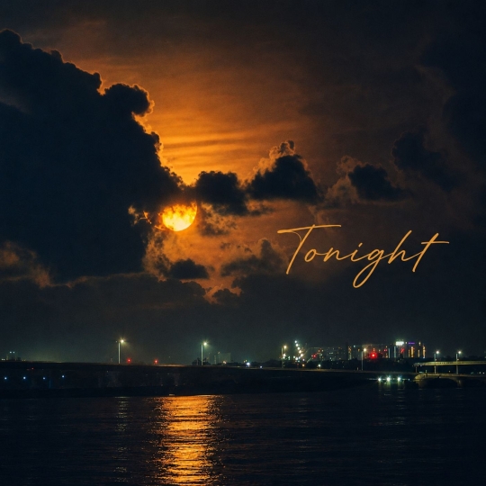 DaLu JaVa - Tonight (Extended Mix)