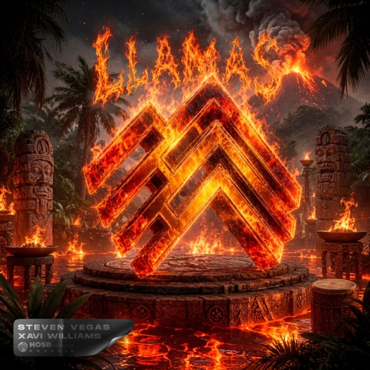 Steven Vegas & Xavi Williams - Llamas (Extended Mix)