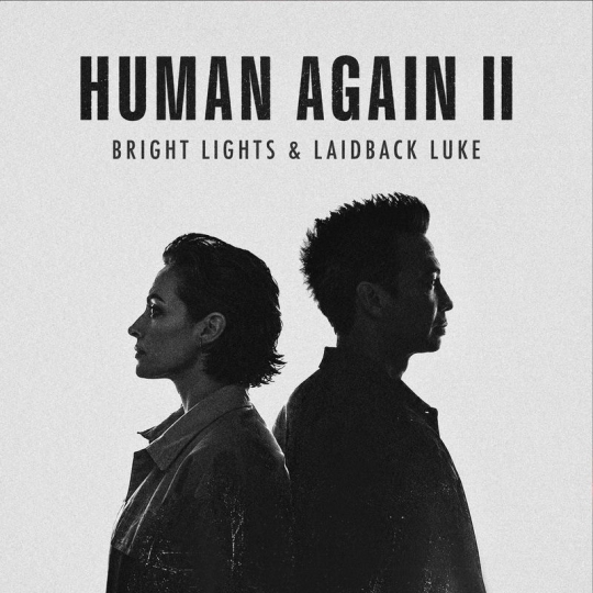 Bright Lights & Laidback Luke - HUMAN AGAIN II (Original Mix)