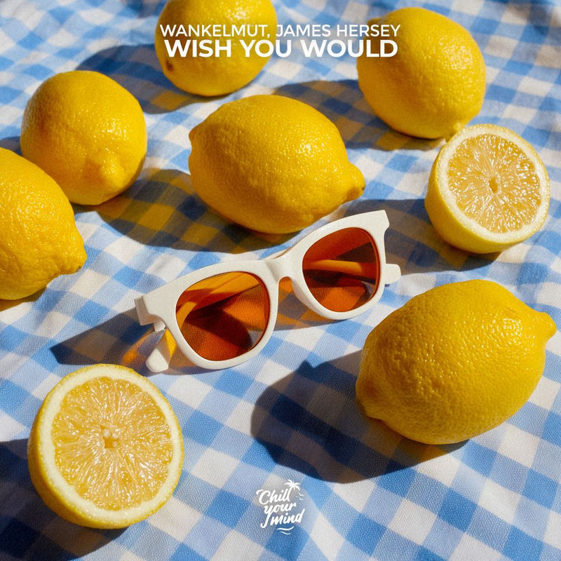Wankelmut & James Hersey - Wish You Would (Original Mix)