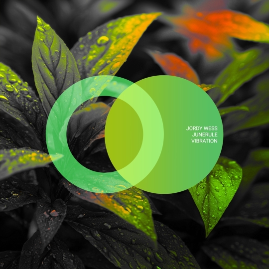 Junerule & Jordy Wess - Vibration (Original Mix)