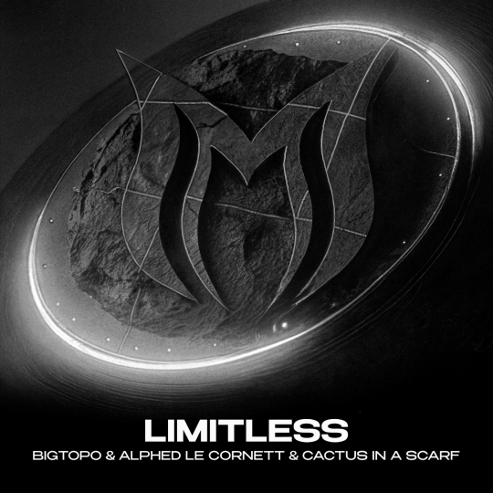 Bigtopo, Alphed Le Cornett & Cactus In A Scarf - Limitless (Extended Mix)