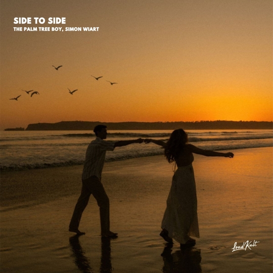 SImon Wiart & The Palm Tree Boy - Side To Side (Original Mix)