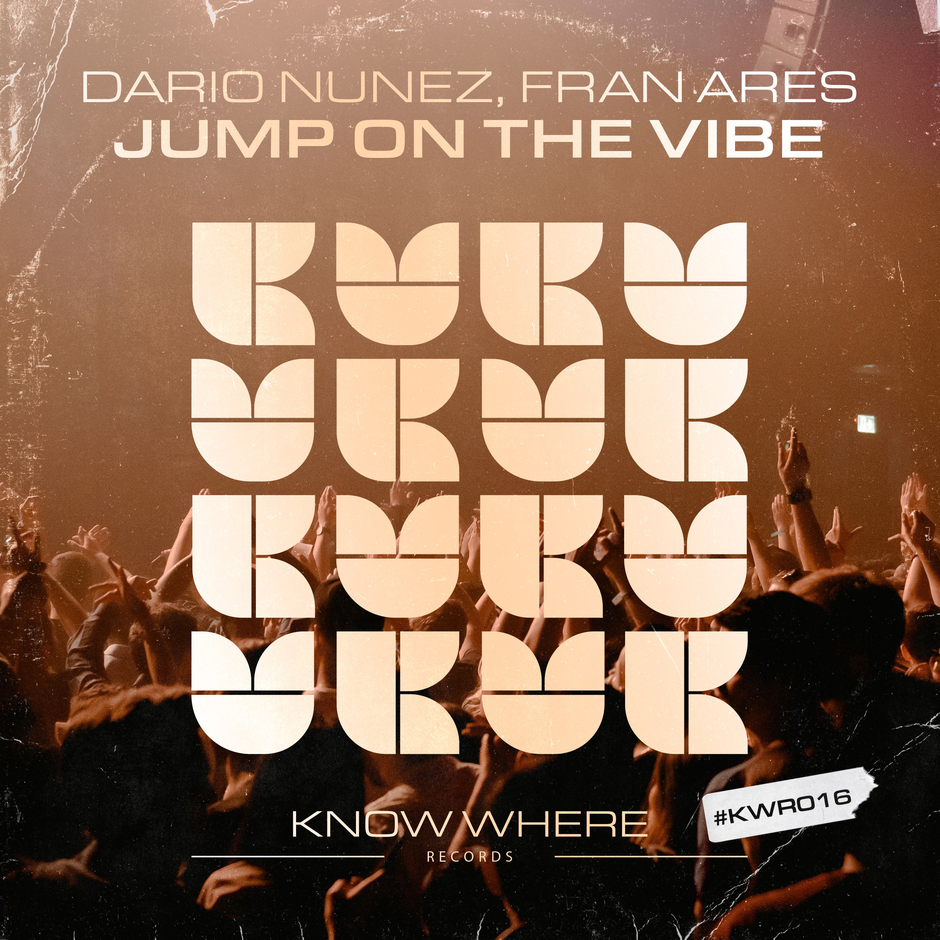 Dario Nunez, Fran Ares - Jump On The Vibe (Extended Mix)