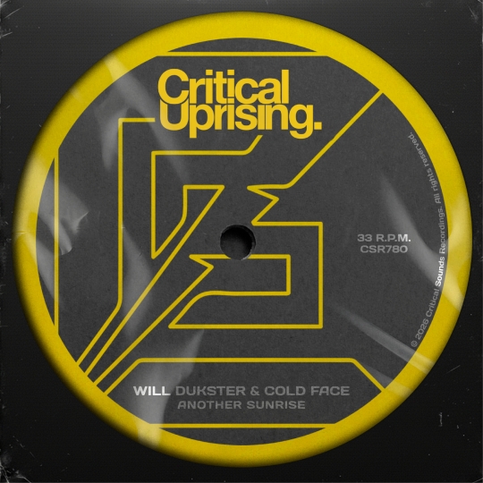 Will Dukster & Cold Face - Another Sunrise (Extended Mix)