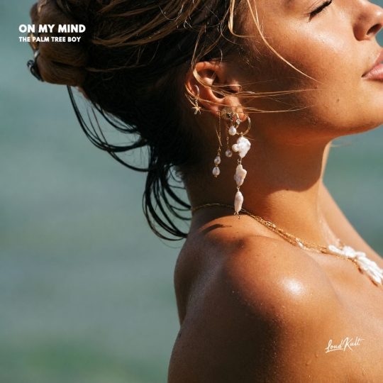 The Palm Tree Boy - On My Mind (Original Mix)