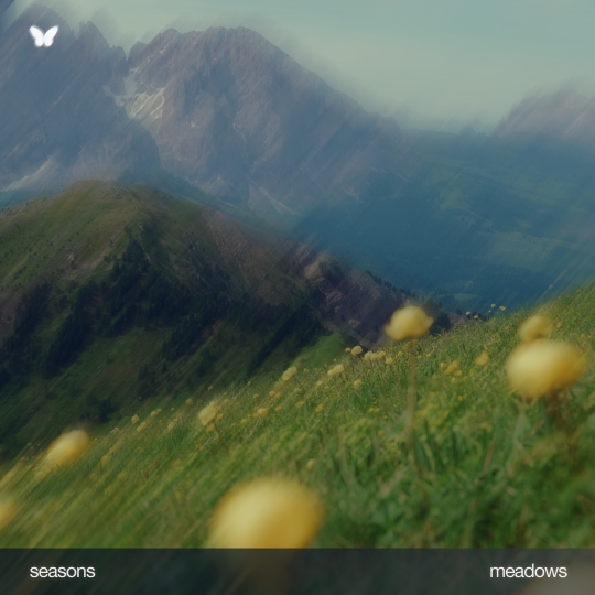 meadows - seasons (Original Mix)