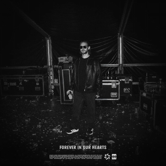 HEDEGAARD - Forever In Our Hearts (Extended Mix)