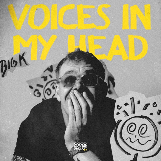 Big K - VOICES IN MY HEAD (Extended Mix)