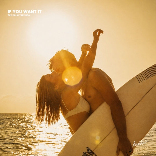 The Palm Tree Boy - IF YOU WANT IT (Original Mix)