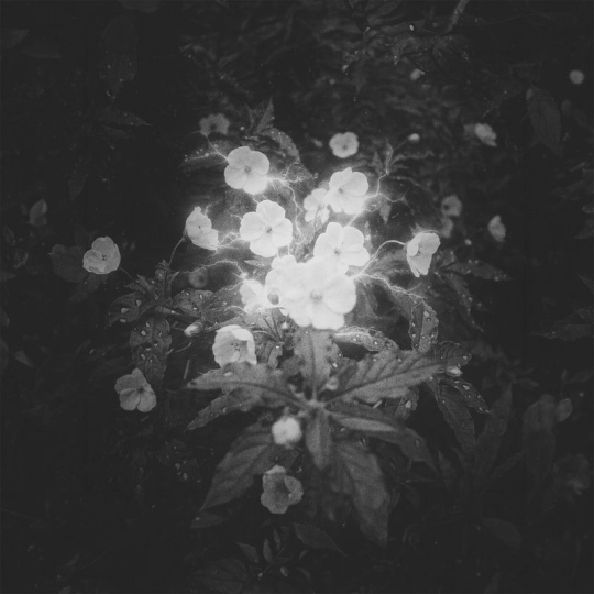 Schrotthagen - Rain Tonight (Original Mix)