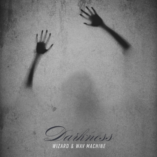 Wizard & WAV Machine - Darkness (Original Mix)