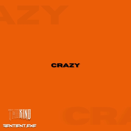 SENTIENT.EXE & TWO KIND - Crazy (Original Mix)