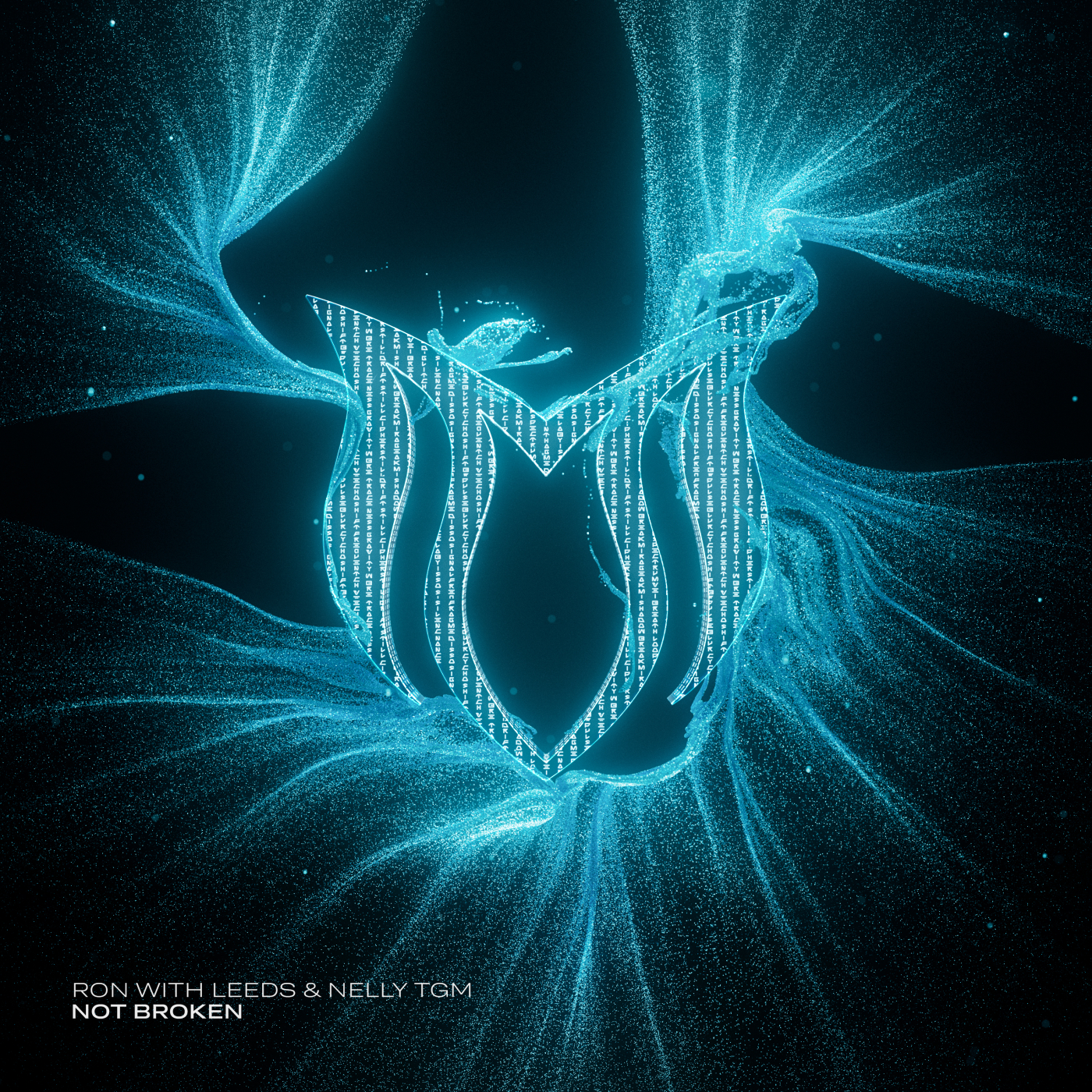 Ron with Leeds & NELLY TGM - Not Broken (Extended Mix)