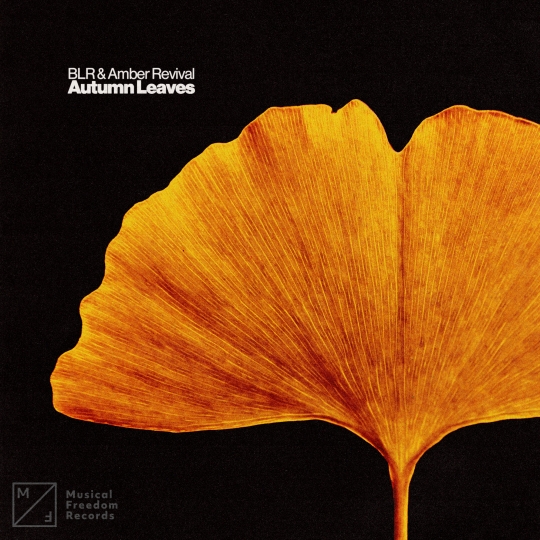 BLR, Amber Revival - Autumn Leaves (Extended Mix)