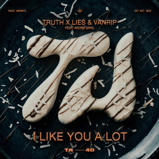Vanrip, Truth x Lies - I Like You A Lot (feat. Weird Grrl) (Extended Mix)