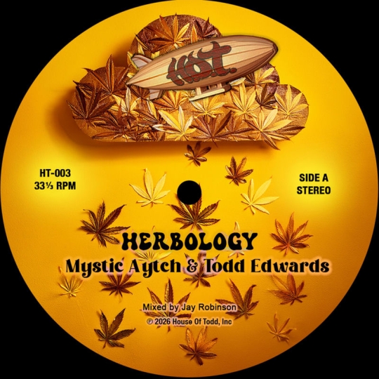Mystic Aytch & Todd Edwards - Herbology (Extended Mix)