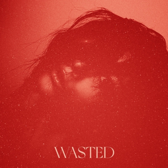 Naarly & Major League Djz - WASTED (Extended Mix)