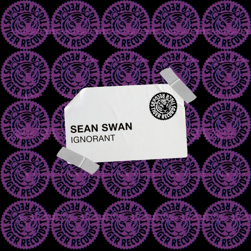 Sean Swan - Ignorant (Extended Mix)