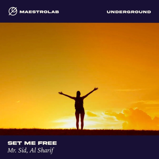 Mr. Sid & Al Sharif - Set Me Free (Extended Mix)