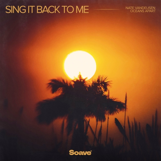 Nate VanDeusen & oceans apart - Sing It Back to Me (Original Mix)