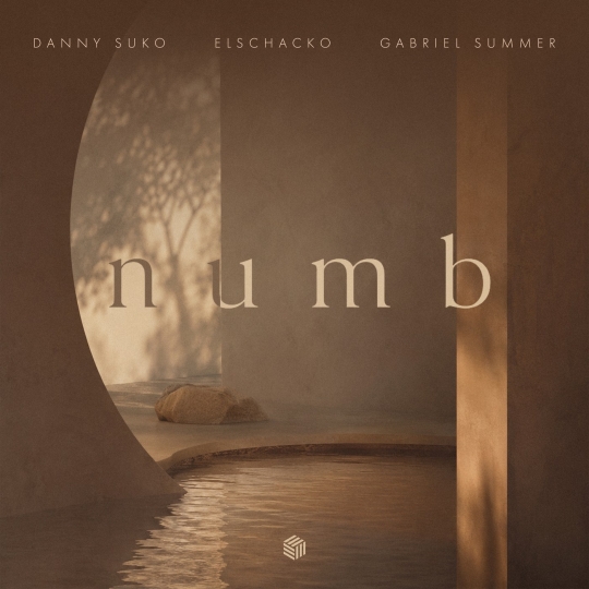 Danny Suko, ElSchacko & Gabriel Summer - Numb (Extended Mix)